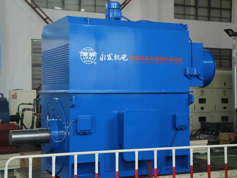 嘉興某公司選用YTCKK-560-14 1000KW 10KV配套造紙行業(yè)-造紙解磨機(jī)